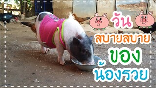 น้องรวยใช้ชีวิตแบบบ้านๆดูแล้วมีความสุขดี🥰🐷🌄🐕