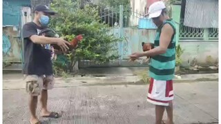 Bitaw3