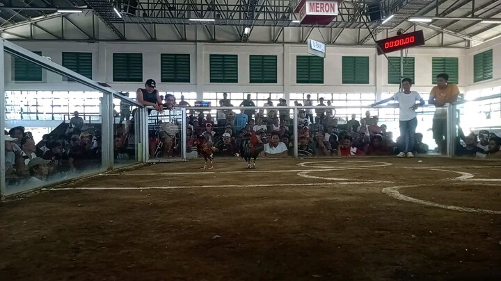 #CGSABLANIIGF December 4, 2023 JF Sports Arena 2hits ulutan 1st fight Win