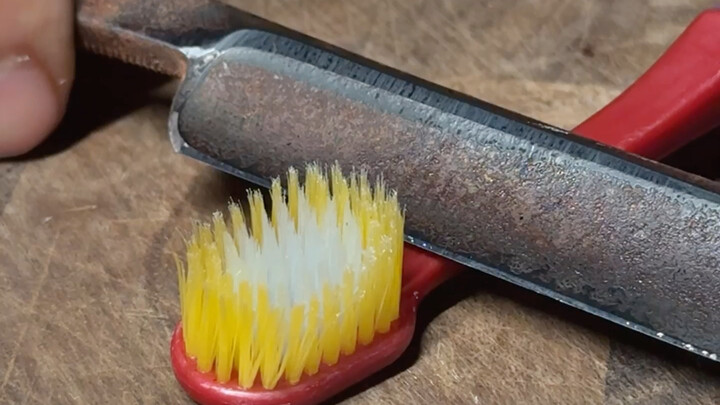 Toothbrush Bristle Sharpness Test