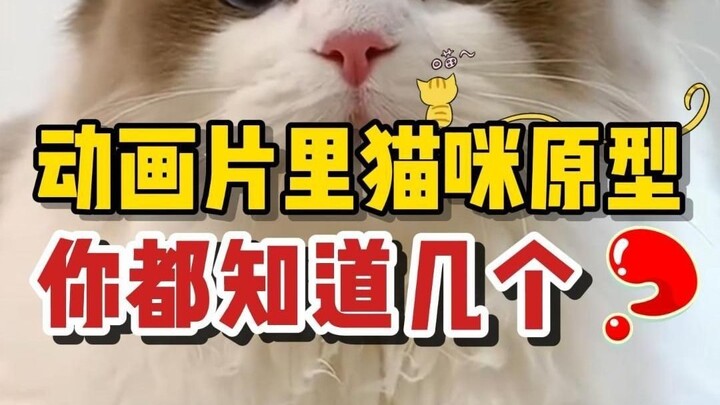 كم عدد نماذج القطط الأصلية في الرسوم المتحركة التي تعرفها؟ موجة من ذكريات الطفولة قادمة!