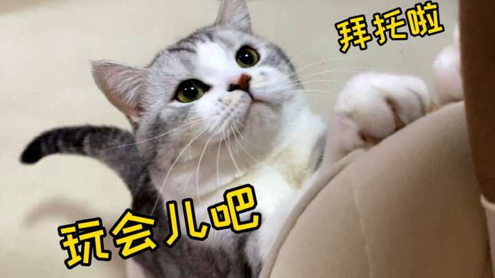 Sudah makeup! Aku juga nggak mau terus-terusan main sama kucing sih! Tapi dia terus mendengking dan 