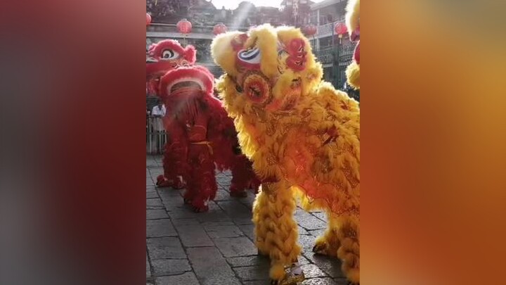 liondance múalân xuancanhty2020 chuabathienhau