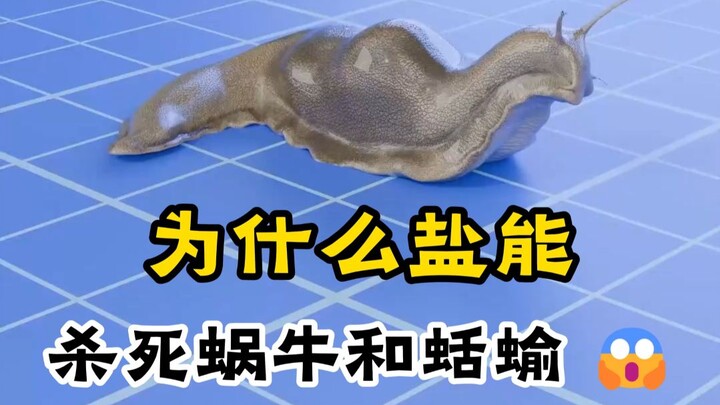 ทำไมเกลือถึงสามารถฆ่าหอยทากและทากได้