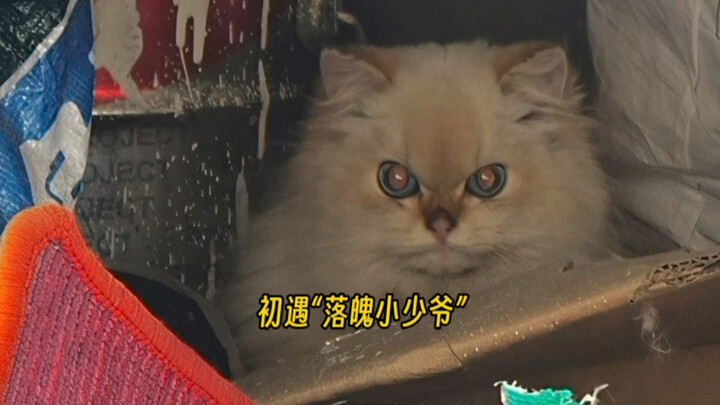 Chance Encounter with a Down-and-Out Young Master