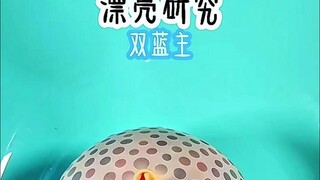 漂亮研究