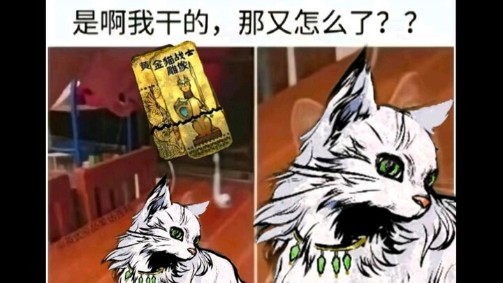 【Permainan Sultan】Penghargaan Gambar Duka