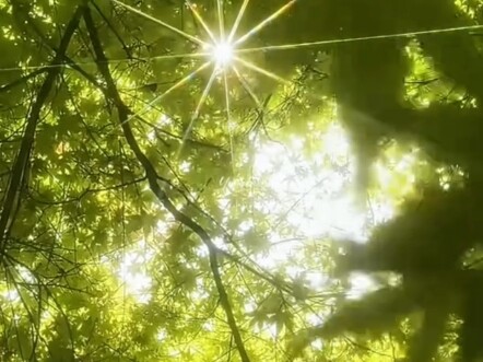 Seeing spring, but not old friends… Why are there only 16 scenes of spring? Because Jiang Du only li