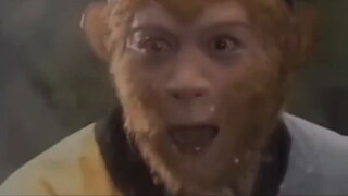 Journey to the West: The Bandits - Who stole the Life Fruit?