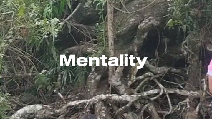 travel to my province