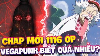 CHAP MỚI 1116 OP | VEGAPUNK ĐÃ BIẾT QUÁ NHIỀU VỀ KHO BÁU OP