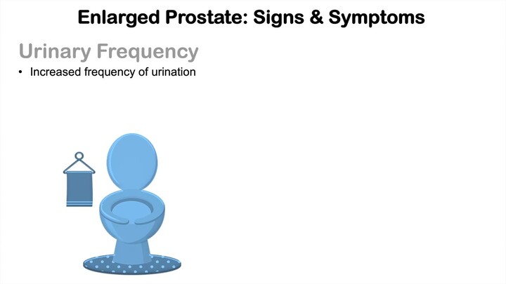 Enlarged Prostate and Prostate Cancer Signs  Symptoms  Why They Occur