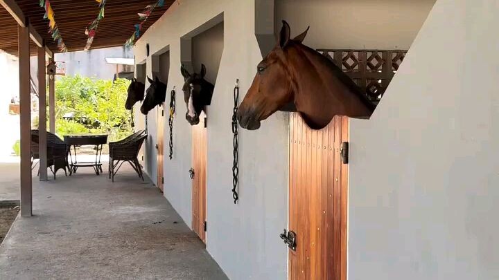 So Relaxing 🫶🐎🐎