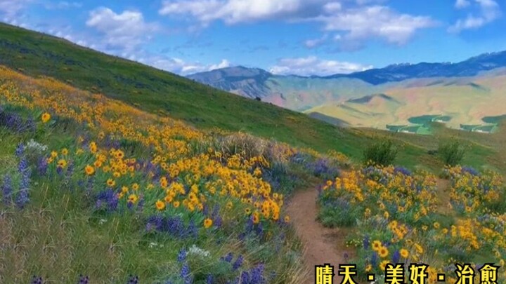 Aku berbaring dalam pelukan pelangi, terbuai oleh harum semerbak. Waduh, Jack ternyata mulai serius 