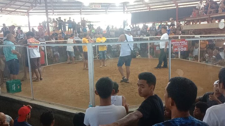 third fight white (loss)