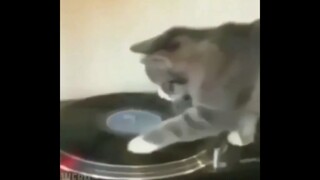 Chiếc video này sẽ làm bạn không nhặt được miệng 38