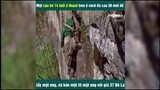 Cậu bé 14 tuổi treo mình trên vách núi 30m để lấy mật ong | LT Review