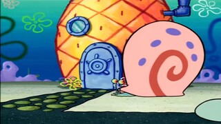 The little snail is so miserable, carrying hundreds of kilograms of snail shells on its small body, 
