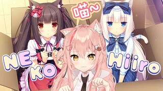 【Hiiro】成年人"学猫叫"就很涩情~NEKOPARA