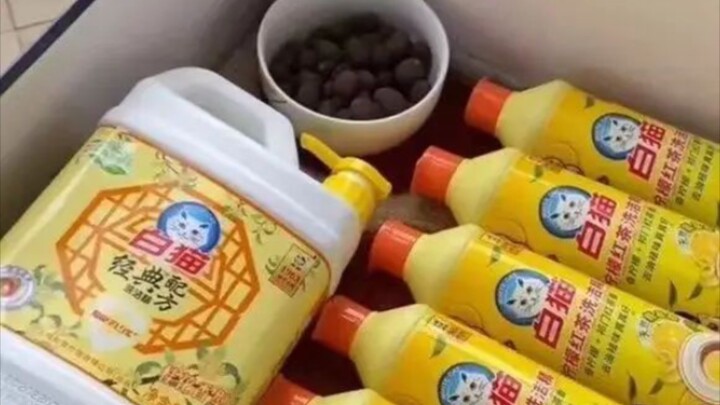 The cat at home has become a spirit!