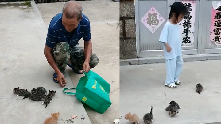 Grandpa brings his granddaughter five kittens, and she takes them all after seeing them, using the c