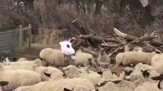 Gắn thẻ cái đứa quê mùa kia đến học cách phối đồ đi