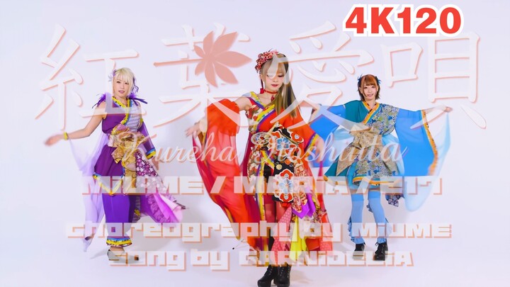 [4K 120fps Original Version with Dual Subtitles] Maple Love Song (Momiji Aika) [MaiMai Dance Vol. 6]