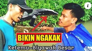 VLOG LUCU KETEMU BIYAWAK BESAR.!!!