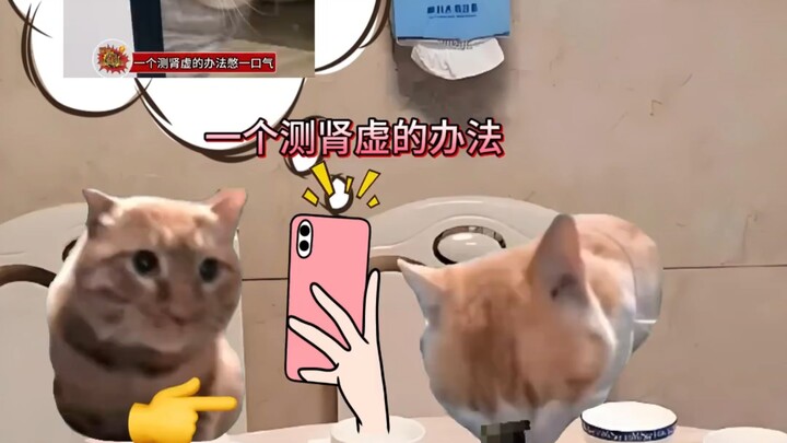 The So-Called Competitive Spirit of Men