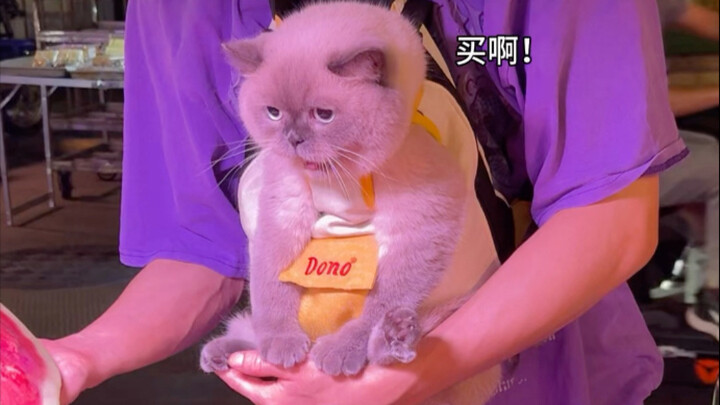 พาแมวไปซื้อของริมถนน แล้วเจอรถยางแตกจนระเบิด...