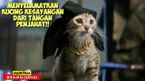 Kisah Kucing Lucu Yang Menghilang Dicuri Komplotan Penjahat | Alur Cerita Film KEANU (2016)