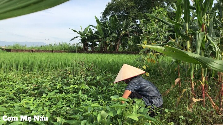 Bữa cơm ngày hè, Mẹ nấu món ăn đơn giản đậm đà hương vị quê ( Cơm Mẹ Nấu)