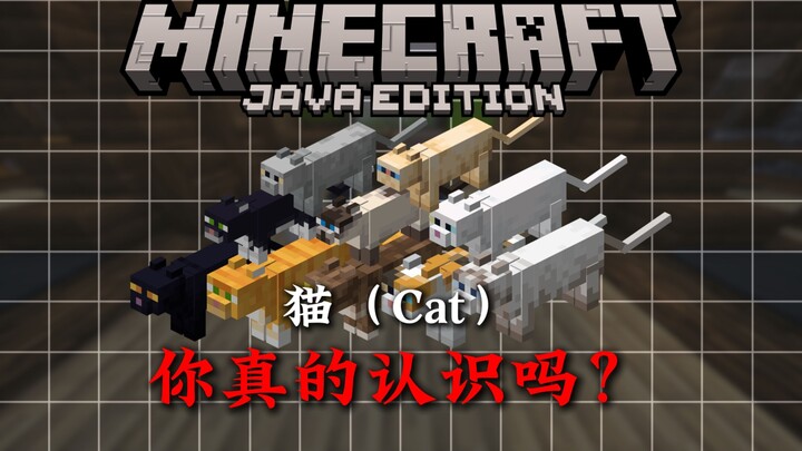 In 4 minutes, get the lowdown on MC Cat’s mechanics!!