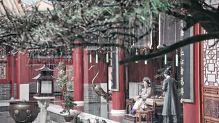 Harem Portraits | Lines | Who will compensate for this good life?