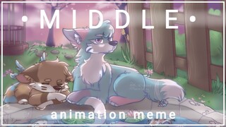 Middle | animation meme