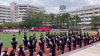 عندما يلتقي جزيرة الكنز الجديدة مع نمرَين يحبان الرقص