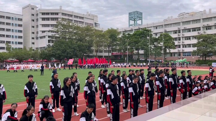عندما يلتقي جزيرة الكنز الجديدة مع نمرَين يحبان الرقص