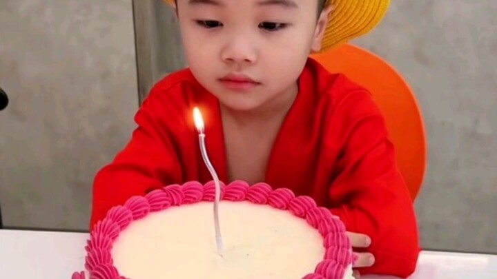 Little Luffy's sister is sick and can only celebrate her birthday alone