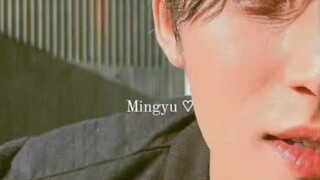 KIM MINGYU of SEVENTEEN 🖤