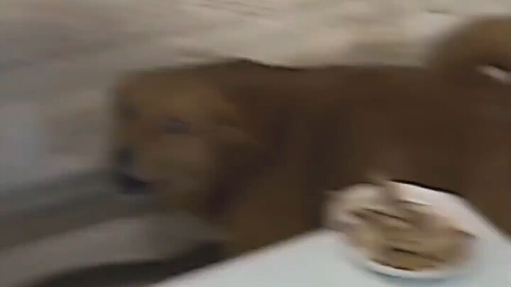 Frame someone and plant evidence