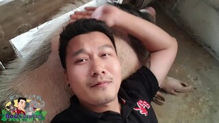 นอนทับหมูอ้วน555