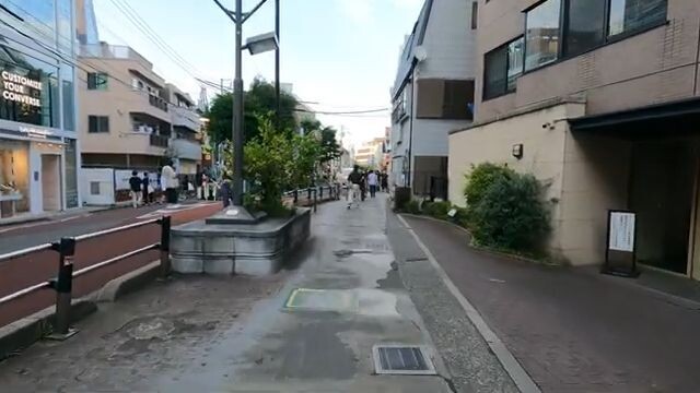 【Shibuya → Harajuku】From Bustling Crossroads to Calm Tree-Lined Streets|Tokyo Walking Tour【4K】