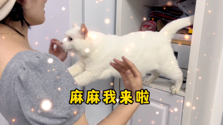 การก้าวกระโดดแห่งศรัทธานี้ ต้องรักฉันมากแน่ๆ