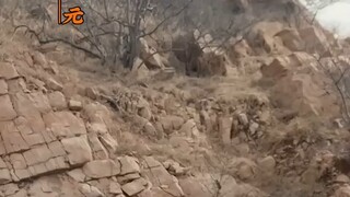 [เต็มเรื่อง] มหาเศรษฐีป่วยประหลาด คนขอทานริมถนนงัดวิชาลึกลับ ชุบชีวิตคืน