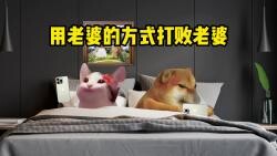 هزم الزوجة بطريقتها الخاصة