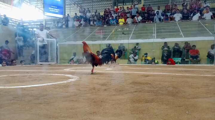 entry name:MAMC3 hits timbangan new apalit sport arenaL W W