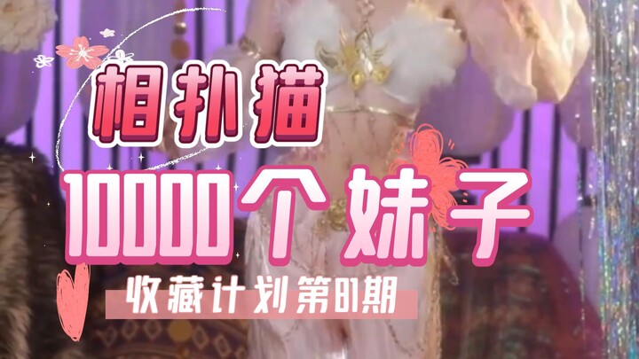 【081⧸Kucing Sumo】Rencana Koleksi 10.000 Gadis Episode ke-81, nikmati satu per satu keseluruhan foto 