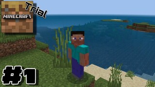 MINECRAFT TRIAL Survival Gameplay Part 1