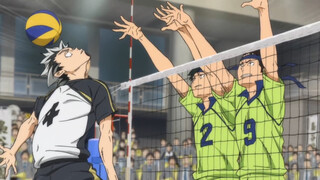 [Volleyball Boys] กฎการเพาะพันธุ์นกฮูก!