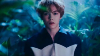 “ 一次性听完所有主打，不愧是阳间曲大户 ”